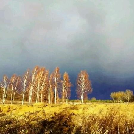 Gospodarstwo Zaborski Sad Exterior foto